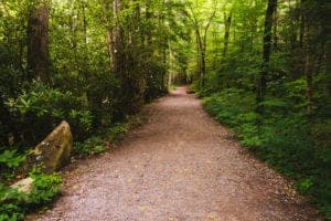 Hiking on a trail in the Smoky Mountains