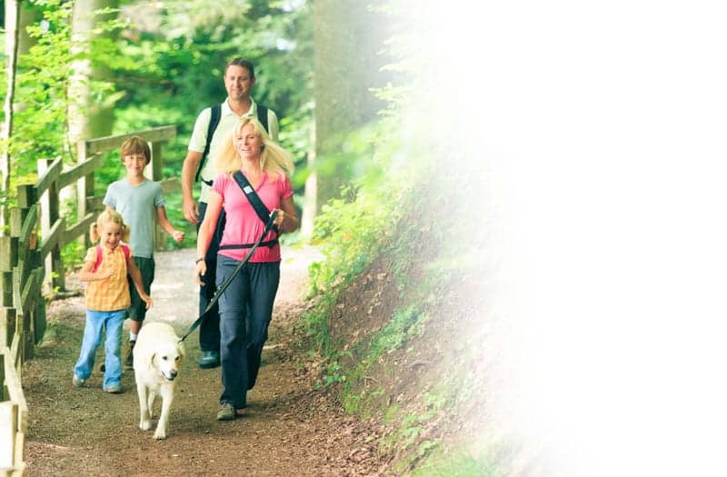 family hiking in the Smoky Mountains with their dog