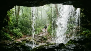 View from behind Grotto Falls waterfall in Great Smoky Mountains, looking out through the cascade toward the forested Trillium Gap Trail