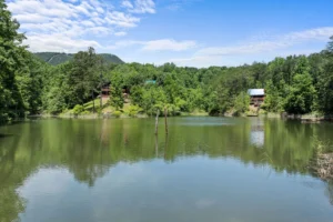 Waterfront cabin rentals in Smoky Mountains with river view, wooden dock, and forested mountainside