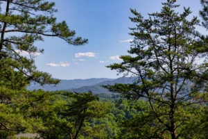 Scenic Smoky Mountains forest view from bear cabin in Sevierville Tennessee