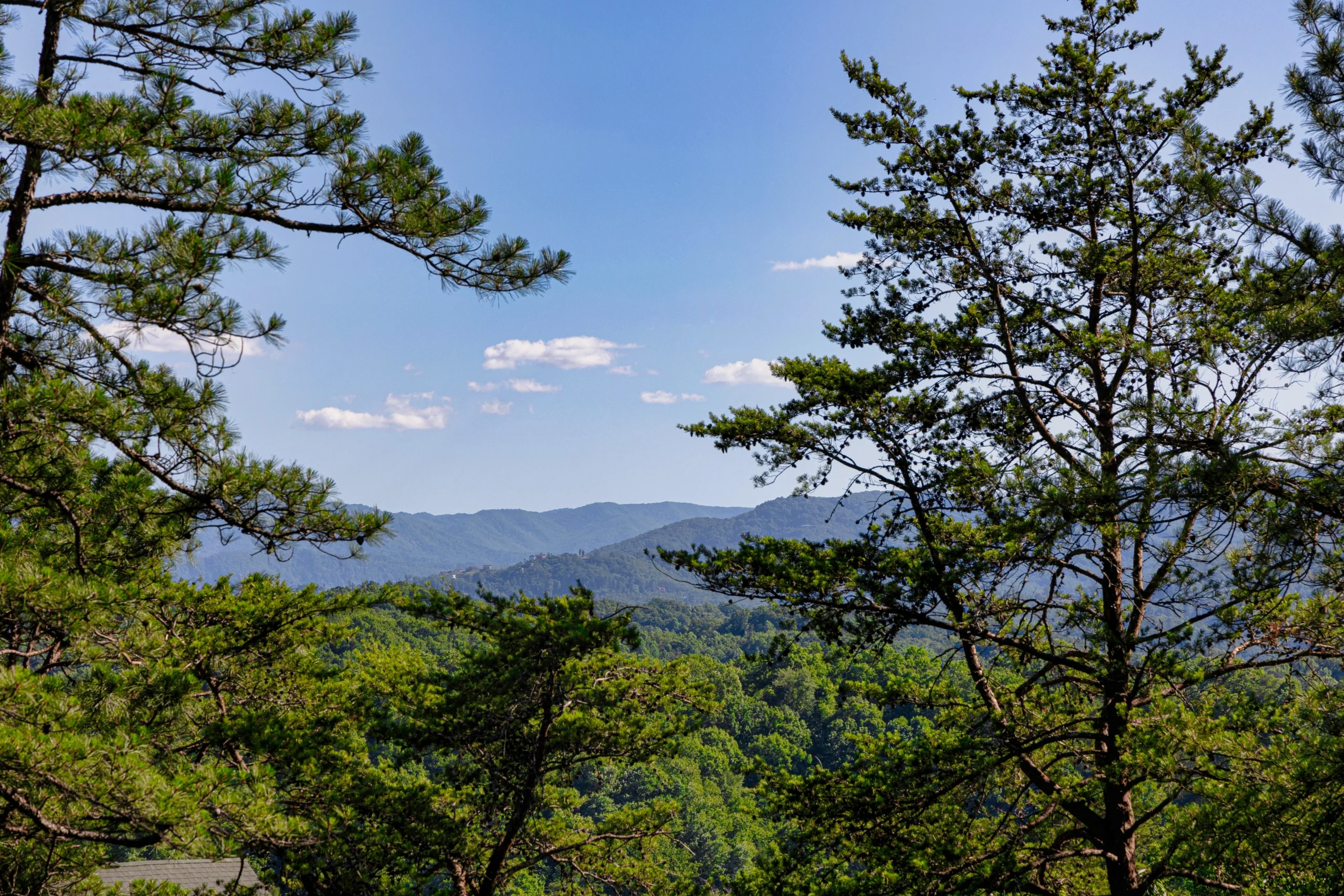 Scenic Smoky Mountains forest view from bear cabin in Sevierville Tennessee